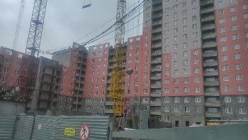 DSC_0753.jpg