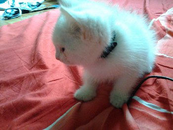 20150514_100603.jpg