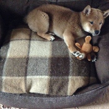 осваиваем спальное место