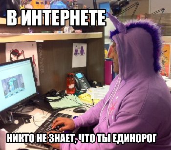 единорог.jpg