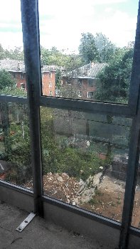 IMG_20150530_140355.jpg