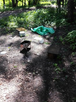 костры и мусор в Березках.jpg