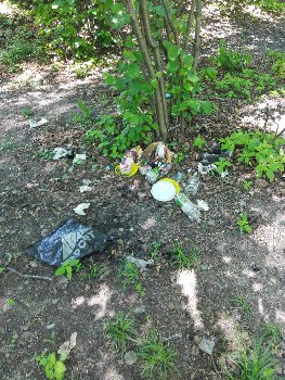 мусор в Березках ишшо.jpg