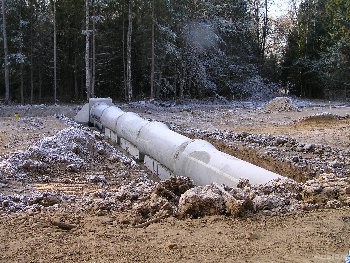 11971.jpg
