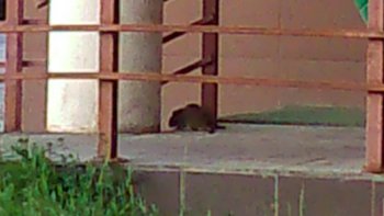 DSC_0467.JPG