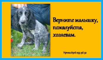 15 июня 2015 пропал росс в шепчинках11 — копия.jpg