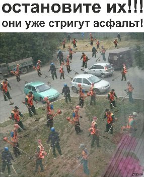 асфальт стригут.jpg