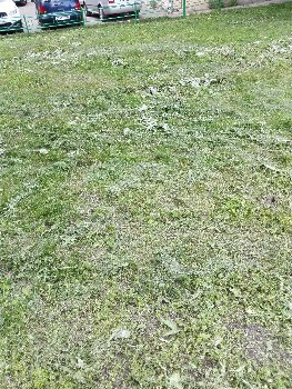 подольск вокзал.jpg