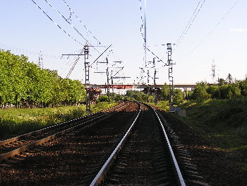 P6230323.JPG
