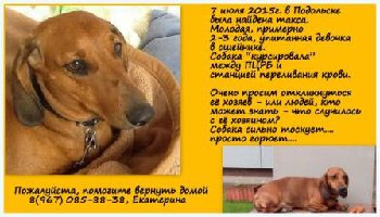 8 июля 2015 Варька12.jpg