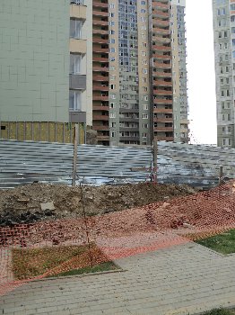 DSC06022.JPG