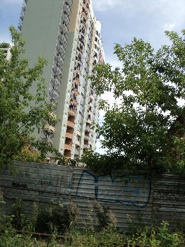 DSC06040.JPG