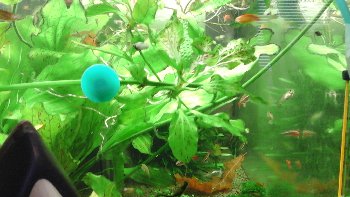 20150711_152614.jpg