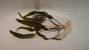 20150711_152643.jpg