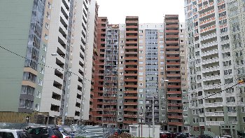 20150713_105451.jpg