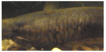 Без имени-009.jpg