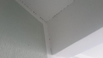 20150727_155329.jpg