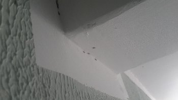 20150727_155335.jpg