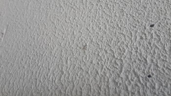 20150727_155324.jpg