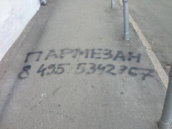 11846502_932966370103600_6572683828095326214_n.jpg