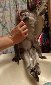 tumblr_nr28xhjtNP1uxebowo1_400.gif