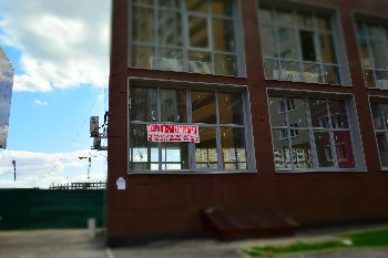 06.08.2015. Скоро будет еда рядом.