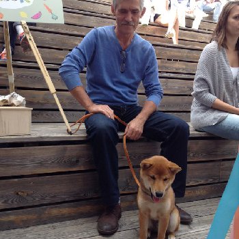 хорошо иметь домик в деревне