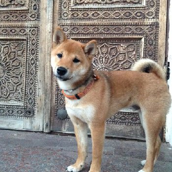 прогулки в городе