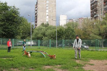 первые занятия