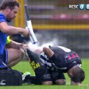 486300_original.gif