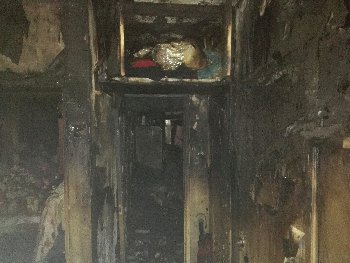 Подольск, ул. Плещеевская дом 56Г кв. 18.