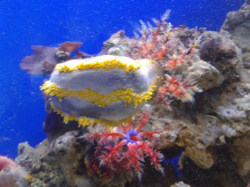 2015-08-11 17.21.25.jpg