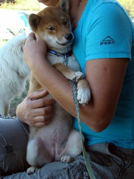 снова обнимашка