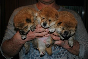 дети перед отъездом по новым домам