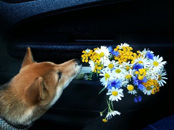 немного лирики