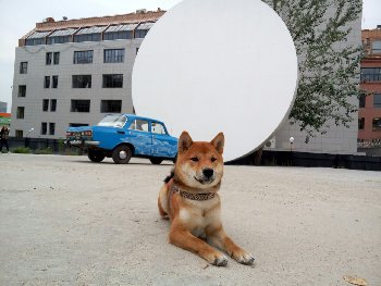 в мыслях о городе