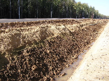 В сторону Кузнечиков