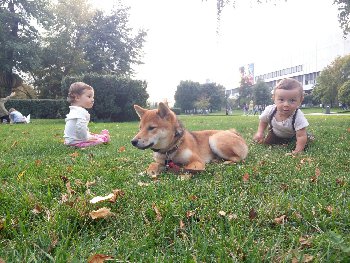 его окружают)))