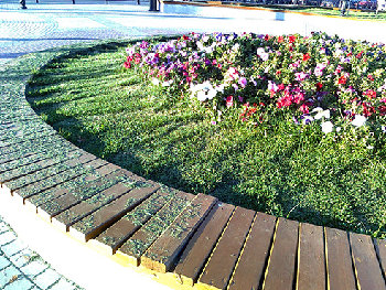 клумбы косят.jpg