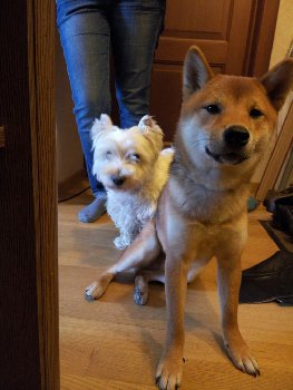 Привет!  ЗдроровО! Заходи ,гостем будешь!