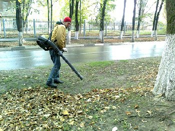 БРОШЕНЫ НА СБОР ЛИСТВЫ