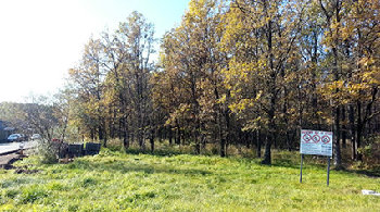 дубки вырубка.jpg