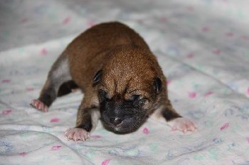 мальчик № 2