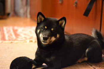 мам, ну ты скоро? скууууучно!