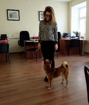 Шант на работе изучает основы гражданского права