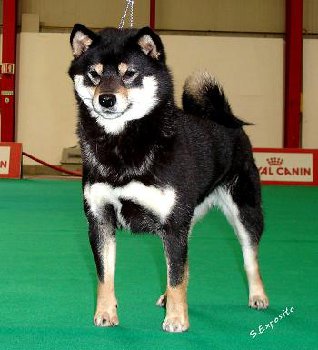 ASO NO AKIHO GO TAKAYUUSOU