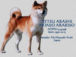 прадед Рикного деда TETSU ARASHI GO HONJOU ARAKISOU