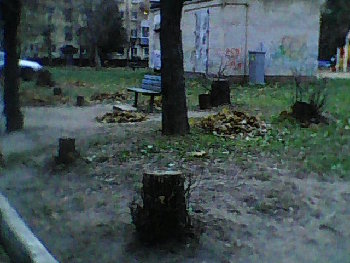 DSC_0000023.jpg