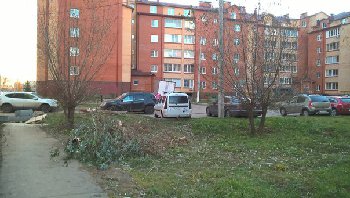 сломанная ива