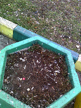 грязь - перья и проч..